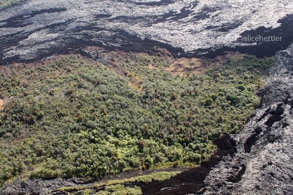 Volcano National Park